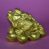 Gouden kikker op plompblad | Feng Shui