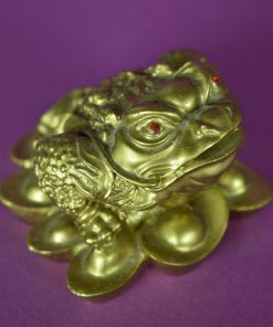 Alternative view of Gouden kikker op plompblad | Feng Shui