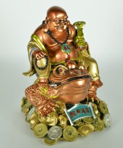 Alternative view of Gelukkige boeddha op kikker met geluksmuntjes |  Feng Shui financieel gelukssymbool