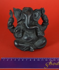 GaneshaZwartGodIndia