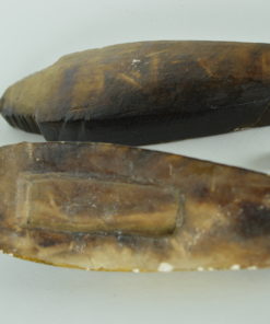 Kleine sarcofaag steen