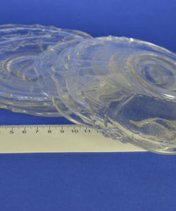 Schotels kleurloos glas met bloem- of schelpmotief