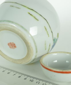 Gemberpot vogels voeren