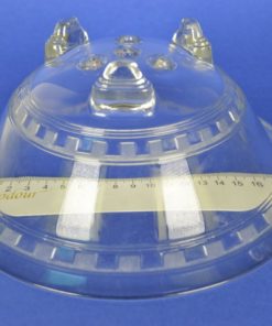 Fruitvergiet kleurloos glas klassiek