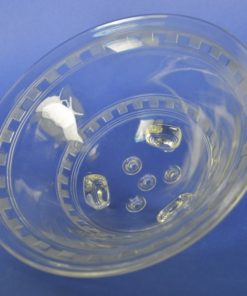 Fruitvergiet kleurloos glas klassiek