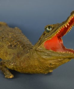 Krokodil