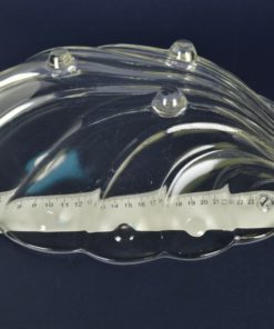 Schaal kleurloos glas in schelp vorm