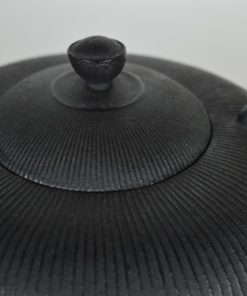 Japanse theepot gietijzer