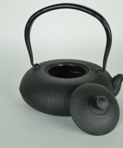 Japanse theepot gietijzer