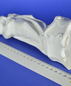 Jezus Heilig Hart wit keramiek