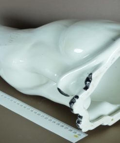 Witte kat porselein groot