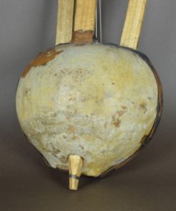 Afrikaanse gitaar met kalebas