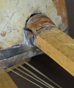 Afrikaanse gitaar met kalebas