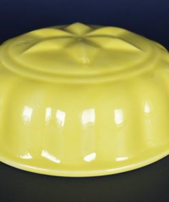 Pudding-paté- bakvorm geel