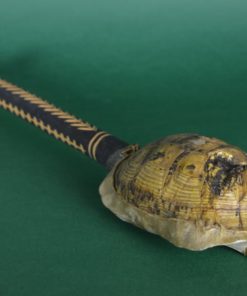 Vintage Gunibri Afrikaans-Marokkaans schildpadschild instrument