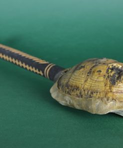 Vintage Gunibri Afrikaans-Marokkaans schildpadschild instrument