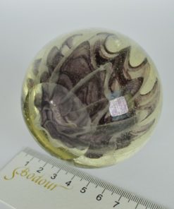 Presse-papier zwart glas