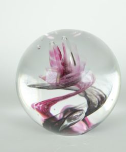 Presse-papier donkerpaars met roze waterplant - glas
