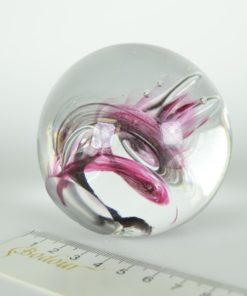 Presse-papier donkerpaars met roze waterplant - glas