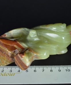 Papegaai van groene onyx