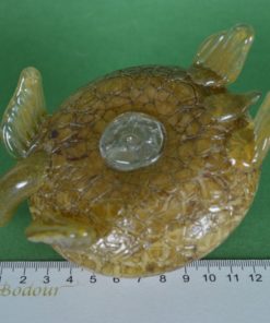 Schildpad van glas - olielamp