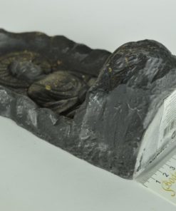 Boeddha met waxinelicht - steen