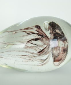 Presse-papier met bruine kwal - glas