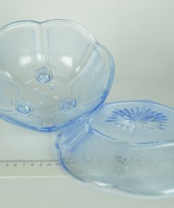 Fruittest - blauw glas