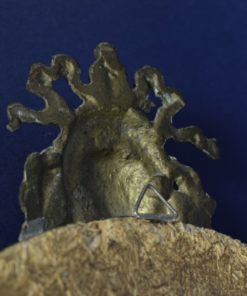 Wandspiegel in empire stijl - ovaal