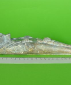 Egyptische Farao grijsgroen speksteen